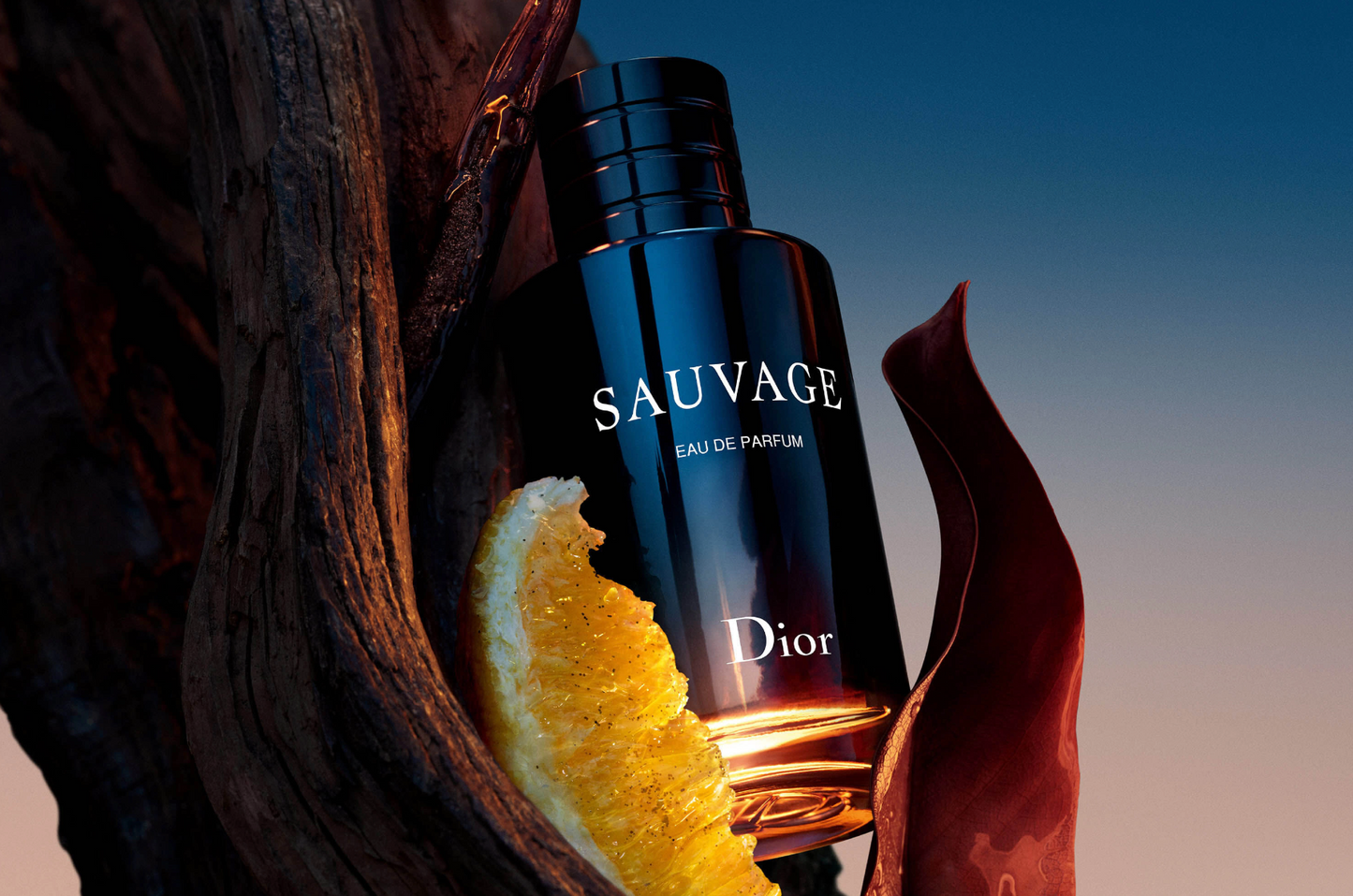 Dior Sauvage Eau de Parfum 60ml – Premium Authentic Cologne